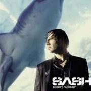 Il testo I'M ALIVE di SASHA è presente anche nell'album Open water (2006)