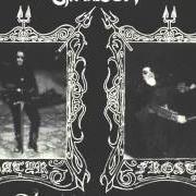 Il testo DARK MEDIEVAL TIMES dei SATYRICON è presente anche nell'album Dark medieval times (1993)