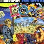 Il testo DOWN THE ROAD (ROCK AND ROLL AIN'T PRETTY) degli SCATTERBRAIN è presente anche nell'album Scamboogery (1991)