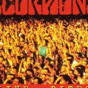 Il testo IN TRANCE degli SCORPIONS è presente anche nell'album Live bites (1995)