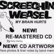 Il testo I CAN SEE CLEARLY degli SCREECHING WEASEL è presente anche nell'album My brain hurts (2005)
