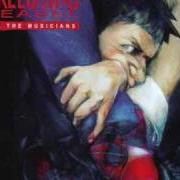 Il testo I CAN SEE CLEARLY degli SCREECHING WEASEL è presente anche nell'album Kill the musicians (2005)