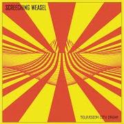 Il testo WE ARE THE GENERATION X degli SCREECHING WEASEL è presente anche nell'album Television city dream (1998)