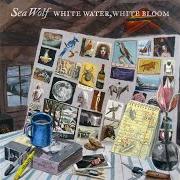 Il testo TURN THE DIRT OVER dei SEA WOLF è presente anche nell'album White water, white bloom