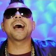 Il testo WHAT I WANT di SEAN PAUL è presente anche nell'album Tomahawk technique (2012)