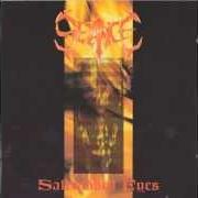 Il testo 13TH MOON dei SEANCE è presente anche nell'album Saltrubbed eyes (1993)