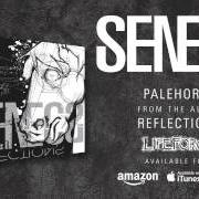 Il testo ILLUSIONS dei SENECA è presente anche nell'album Reflections (2009)