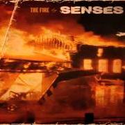 Il testo NEW YEAR'S EVE dei SENSES FAIL è presente anche nell'album The fire (2010)