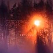 Il testo RENACER dei SENSES FAIL è presente anche nell'album Renacer (2013)