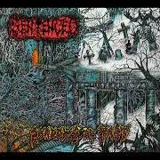 Shadows of the past Shadows of the past