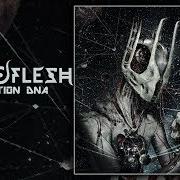 Il testo RADIOACTIVE dei SEPTIC FLESH è presente anche nell'album Revolution dna (1999)