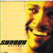 Il testo WHY ME LORD di SHAGGY è presente anche nell'album Hot shot (2000)