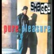 Il testo AH-E-A-OH di SHAGGY è presente anche nell'album Pure pleasure (1993)