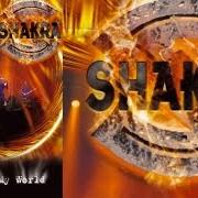 Il testo TAKE ME NOW degli SHAKRA è presente anche nell'album Fall (2005)
