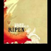 Il testo CONFESS di SHAWN MCDONALD è presente anche nell'album Ripen (2006)