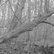 Livets ändhallplats Livets ändhallplats