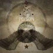 Il testo TURNED TO REAL LIFE degli SHINY TOY GUNS è presente anche nell'album Season of poison (2008)