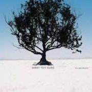 Il testo DON'T CRY OUT degli SHINY TOY GUNS è presente anche nell'album We are pilots (2006)