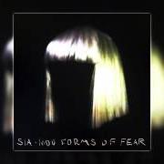 Il testo HOSTAGE di SIA è presente anche nell'album Hostage (2012)