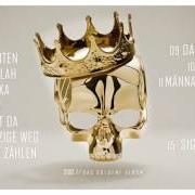 Il testo STRICHE ZÄHLEN di SIDO è presente anche nell'album Das goldene album (2016)