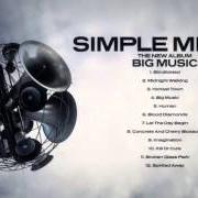 Il testo LOVE SONG dei SIMPLE MINDS è presente anche nell'album The best of simple minds (2003)