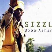 Bobo ashanti