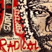 Il testo PROTECT MY LIFE di SIZZLA è presente anche nell'album Radical (2014)