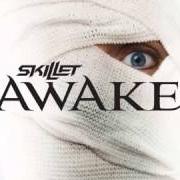 Il testo MONSTER degli SKILLET è presente anche nell'album Awake (2009)