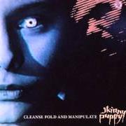 Il testo DRAINING FACES degli SKINNY PUPPY è presente anche nell'album Cleanse fold & manipulate (1987)