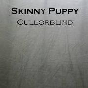 Il testo NOISEX degli SKINNY PUPPY è presente anche nell'album Handover (2011)