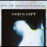 Il testo ANGER degli SKINNY PUPPY è presente anche nell'album Mind: the perpetual intercourse (1986)