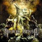 Il testo CODEX-VERITAS (DEMO) degli ANOREXIA NERVOSA è presente anche nell'album Redemption process (2004)