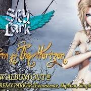 Il testo THE STORM degli SKYLARK è presente anche nell'album The horizon & the storm (1995)