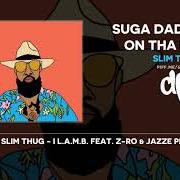 Il testo HIGH di SLIM THUG è presente anche nell'album Suga daddy slim: on tha prowl (2019)