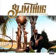 Il testo RIP PARKING LOT di SLIM THUG è presente anche nell'album The world is yours (2017)