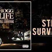 Hogg life, vol. 2: still surviving