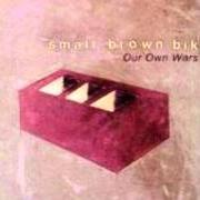 Il testo IN TUNE degli SMALL BROWN BIKE è presente anche nell'album Our own wars (1999)