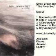 Il testo A DECLARATION OF SORTS degli SMALL BROWN BIKE è presente anche nell'album The river bed (2003)