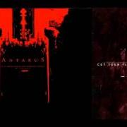 Il testo DAEMON (LIVE) degli ANTAEUS è presente anche nell'album Cut your flesh and worship satan (2000)