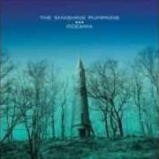 Il testo THE CELESTIALS degli SMASHING PUMPKINS è presente anche nell'album Oceania (2012)