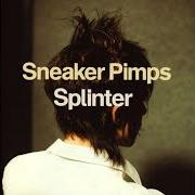 Il testo WIFE BY TWO THOUSAND degli SNEAKER PIMPS è presente anche nell'album Splinter (1999)