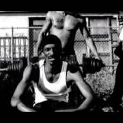 Il testo PROMISE I di SNOOP DOGG è presente anche nell'album R&g (rhythm & gangsta): the masterpiece (2004)