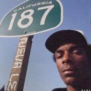 Il testo SWIVEL di SNOOP DOGG è presente anche nell'album Neva left (2017)