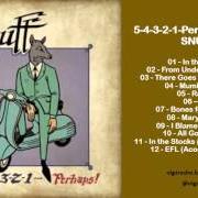 Il testo MUMBO JUMBO degli SNUFF è presente anche nell'album 5-4-3-2-1-perhaps? (2012)