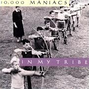Il testo CHERRY TREE dei 10000 MANIACS è presente anche nell'album In my tribe (1987)