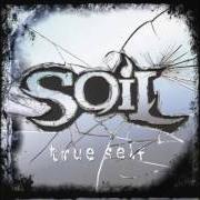 Il testo THE LAST CHANCE dei SOIL è presente anche nell'album True self (2006)