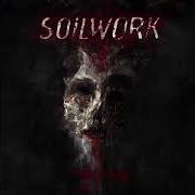 Il testo MY NERVES, YOUR EVERYDAY TOOL dei SOILWORK è presente anche nell'album Death resonance (2016)