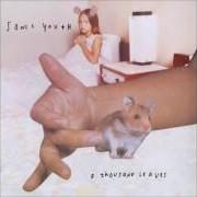 Il testo HOARFROST dei SONIC YOUTH è presente anche nell'album A thousand leaves (1998)