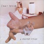 Il testo HITS OF SUNSHINE (FOR ALLEN GINSBERG) dei SONIC YOUTH è presente anche nell'album A thousand leaves (1998)