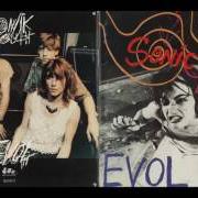 Il testo SHADOW OF A DOUBT dei SONIC YOUTH è presente anche nell'album Evol (1986)